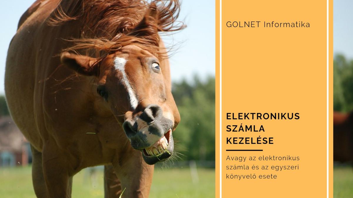 Elektronikus számla rossz kezelése