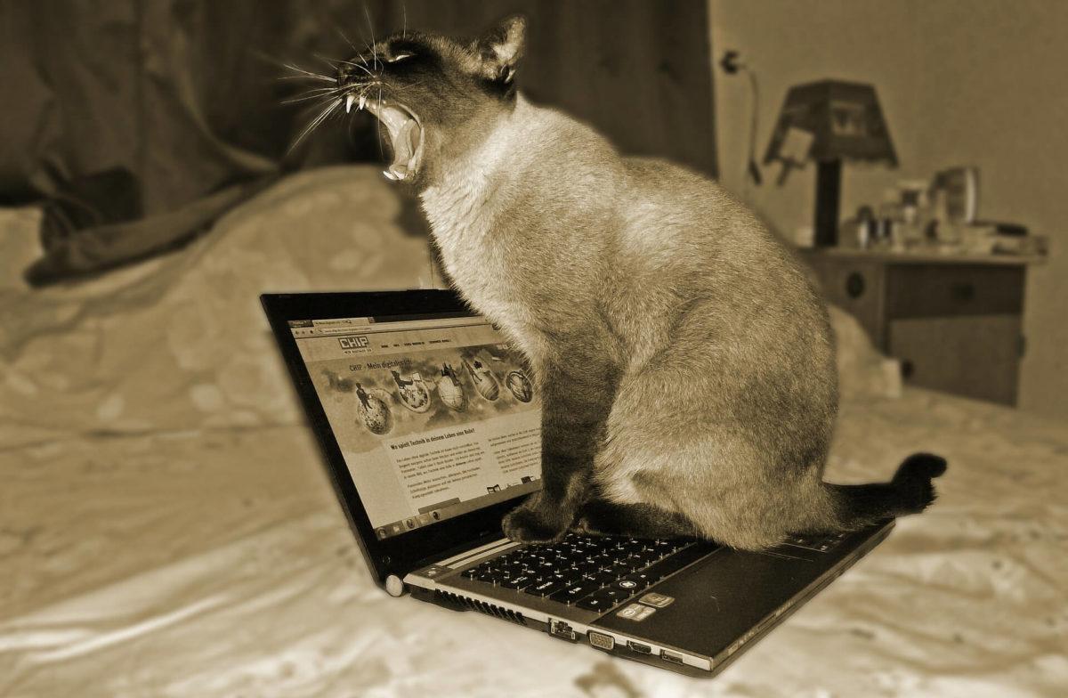 Mitől lesz egy laptop használható laptop?
